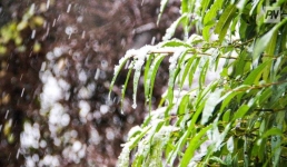 Снежную метель ожидают в Павлодарской области 6 ноября