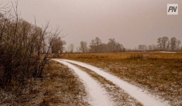 Метель и гололед: погода в Павлодарской области 7 ноября