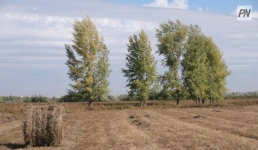 Жительнице Павлодара помогли быстрее получить землю