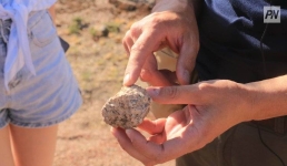 Успенские библиотекари покажут краеведческий вернисаж