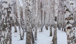 По-зимнему теплый уик-энд ожидается в Павлодаре