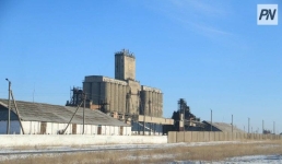 В Павлодарской области сохранят урожай пшеницы до следующего года