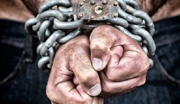 В Павлодарской области приступили к проверке арендных квартир