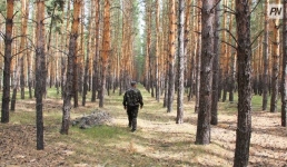 Как павлодарские лесники помогают выжить животным