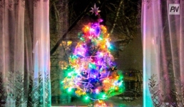 Павлодарцы предпочитают искусственные ёлки натуральным