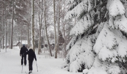 В лагере под Павлодаром возобновили сезон после аварии