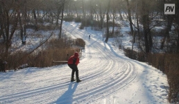 В Павлодаре заработали лыжные базы и катки
