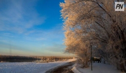 Снег и низовая метель: погода в Павлодарской области 11 декабря
