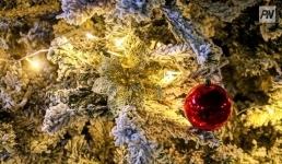 Британский викарий рассказал детям горькую правду