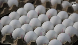 «Сделано в Казахстане»: павлодарские предприниматели могут получить льготные кредиты