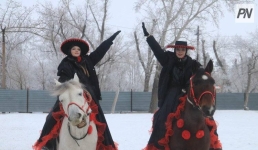 В Павлодаре показали результат экспериментального курса с учёными конями