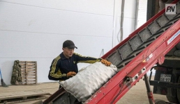 Тысячу новых рабочих мест создадут в селах Павлодарской области