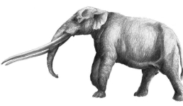 Житель Нью-Йорка нашел челюсть мастодонта