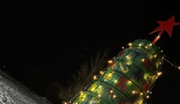 В павлодарском лесничестве рассказали о подготовке к празднику