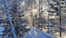 Новый год «с плюсом» ожидает павлодарцев