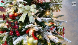 Павлодарские музыканты нарядили ёлку вместе с родителями