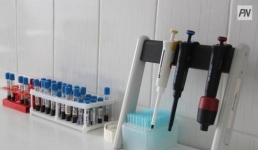 Угрозы нет: в Павлодарской области подтвердили два случая метапневмовируса