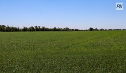 Щербактинскому колледжу вернули землю