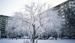 В Павлодарской области неделю будет снежно