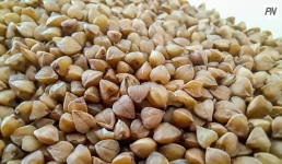 Гречневая крупа и свекла на павлодарских прилавках стали дешевле