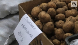 Павлодарского поставщика наказали за торговую надбавку