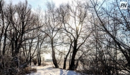 25 января в Павлодарской области чуть потеплеет