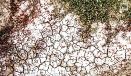 За счет чего в Казахстане планируют восстановить Северный Арал