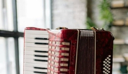 Павлодарских баянистов признали лучшими