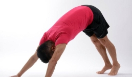 Павлодарцам помогут стать гибче