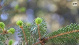 В Баянаульском нацпарке провели экологическую акцию