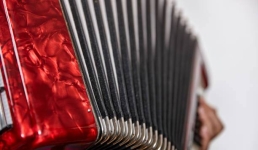 Семилетний баянист покорил павлодарцев на музыкальном конкурсе