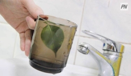 Жителям Аксу не стоит опасаться цветной воды
