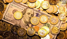 Сколько миллиардов тенге павлодарцы потратили на доллары США