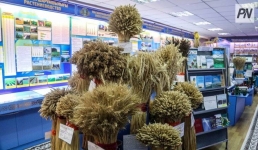 В Успенском районе начали праздновать юбилей