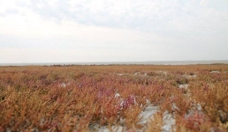 Жителя Аккулы наказали на незаконную рыбалку