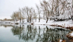 Туман и гололед возможны 15 марта в Павлодарской области