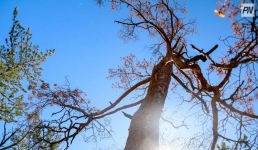 В Актогайском районе прошла экологическая акция