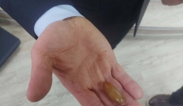 Посадить дерево, построить дом: павлодарским ученикам раскрыли формулу счастья