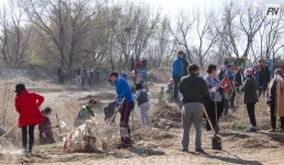 В Павлодарской области проведут генеральную уборку