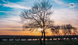 Дождь со снегом ожидают в Павлодарской области 21 марта