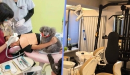 В японской клинике 20 лет нанимали собак-терапевтов