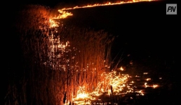 Почти десять часов горела павлодарская пойма