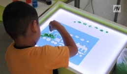 Павлодарские дошколята проверили свою логику