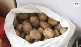 Дистрибьютор в Павлодаре отделался предупреждением за высокие цены на картофель