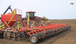 Когда засеют павлодарские картофельные поля