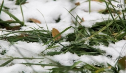 Тепло и без осадков ожидается 29 марта в Павлодарской области