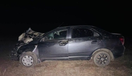 Жеребенок с хвостом-косичкой стал причиной ДТП в районе Аккулы