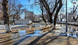 Апрель в Павлодарской области начнётся с дождя