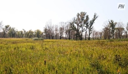 В Павлодарской области обсудили проблемы инвесторов