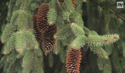 Какие меры улучшат экологическую обстановку в стране